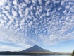空いっぱいにうろこ雲が広がりました。 17年10月18日撮影