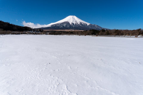3/7、雪原から望む富士山