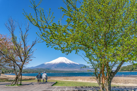 4/30、新緑と富士山を眺める2人